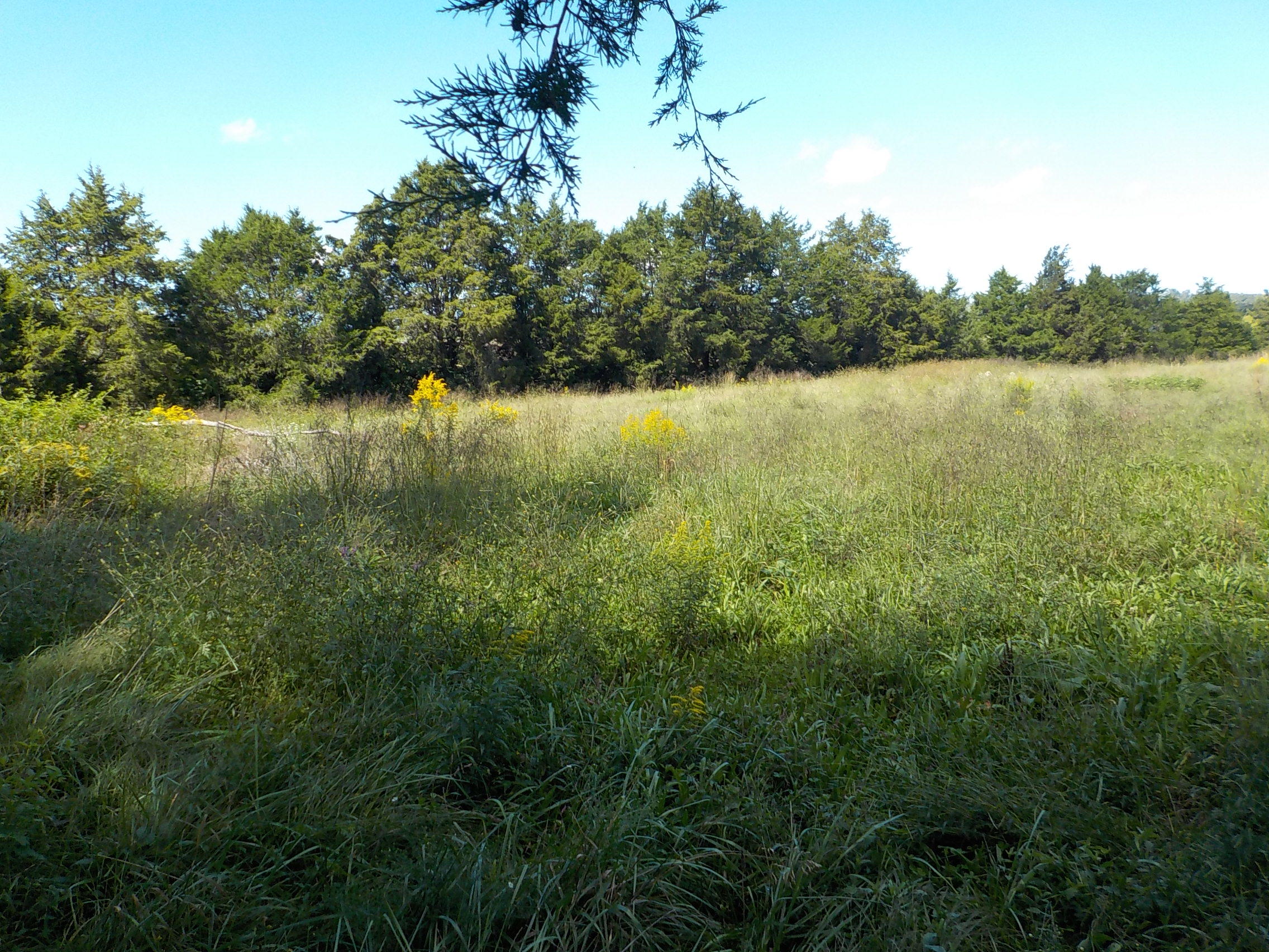 Perrin Hollow Road Blaine, TN 37709 - Photo 4 of 13 007
