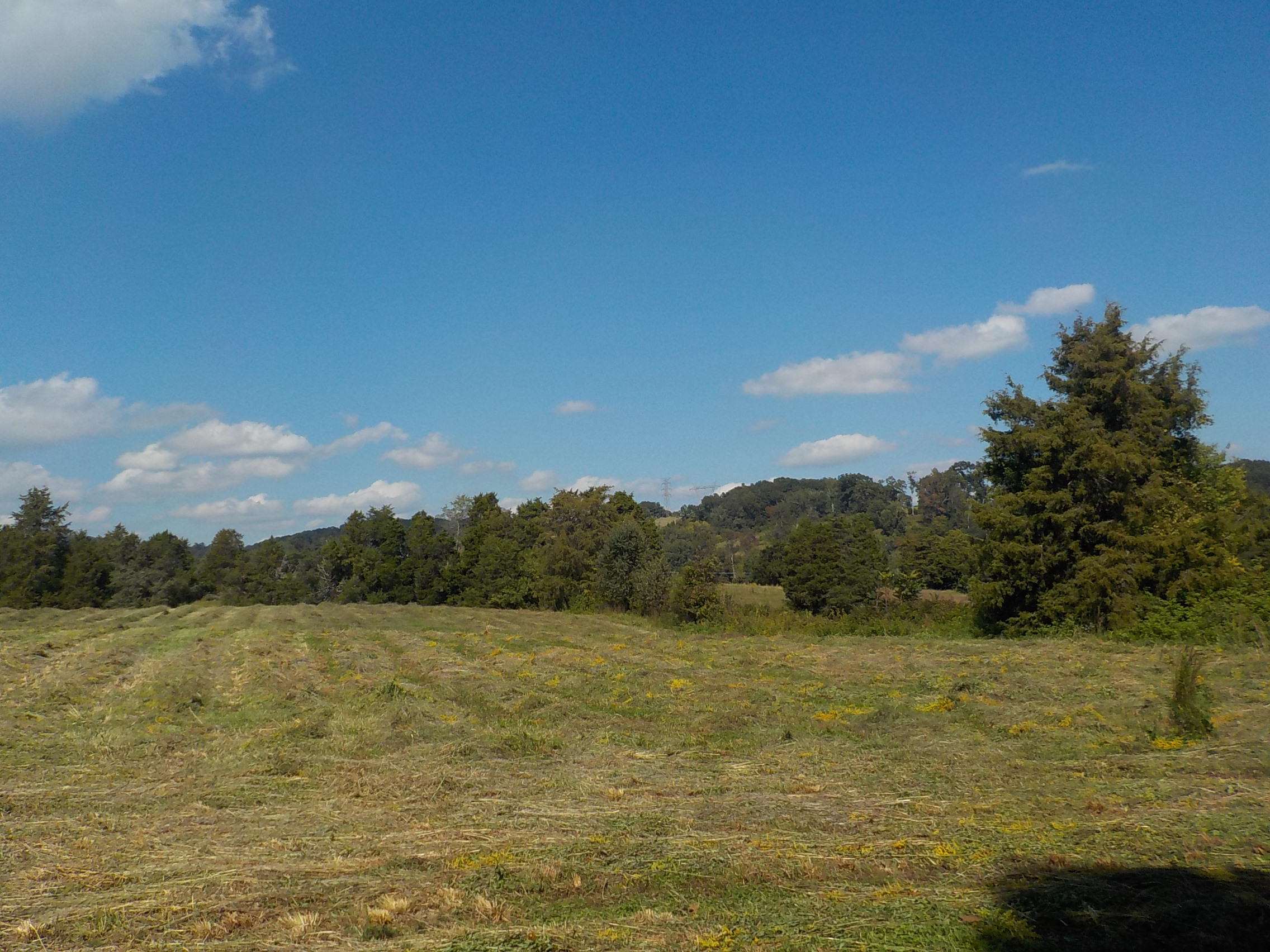 Perrin Hollow Road Blaine, TN 37709 - Photo 5 of 13 006