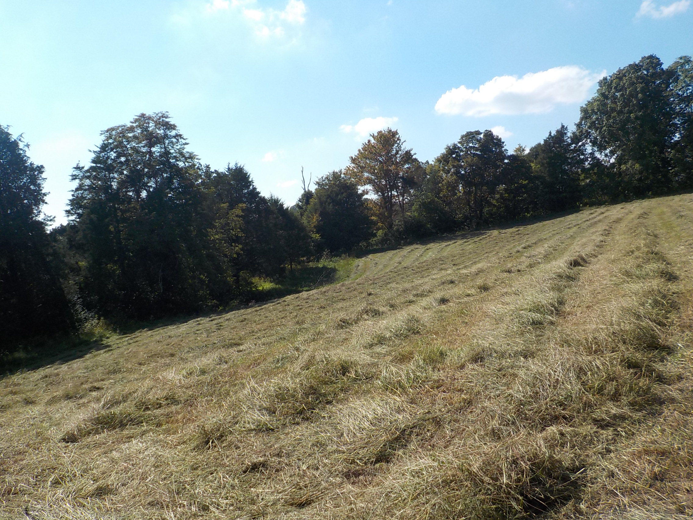 Perrin Hollow Road Blaine, TN 37709 - Photo 8 of 13 002