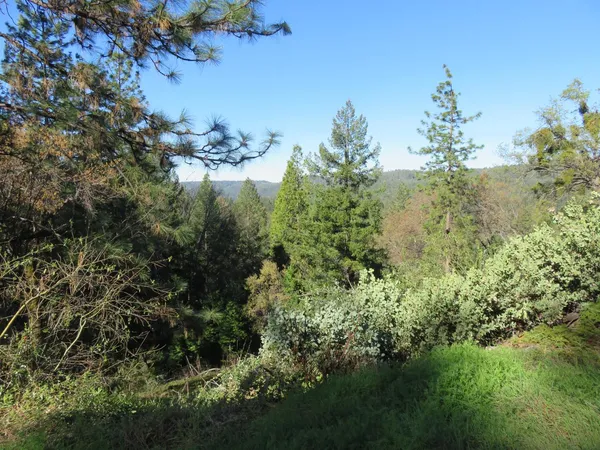$220,000 | 1360 Argonaut Lane, West Point, CA 95255