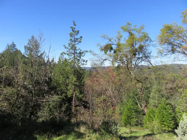$220,000 | 1360 Argonaut Lane, West Point, CA 95255