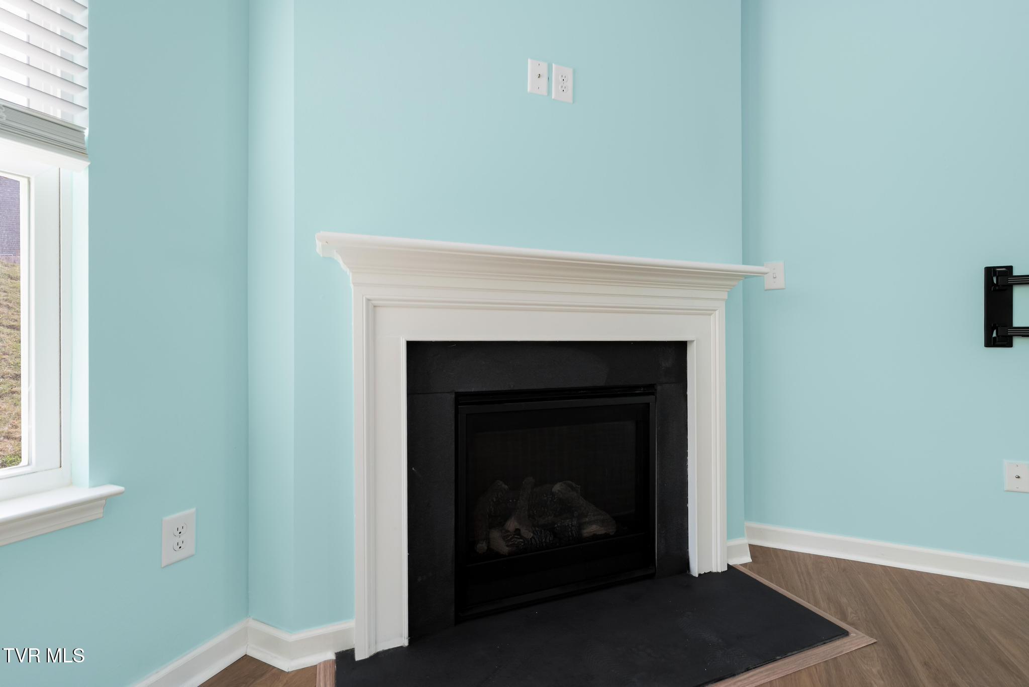 859 Barley Loop Jonesborough, TN 37659 - Photo 5 of 44 859 Barley Loop (19 of 44)
