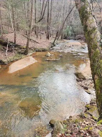 a view of a yard with wooden fence