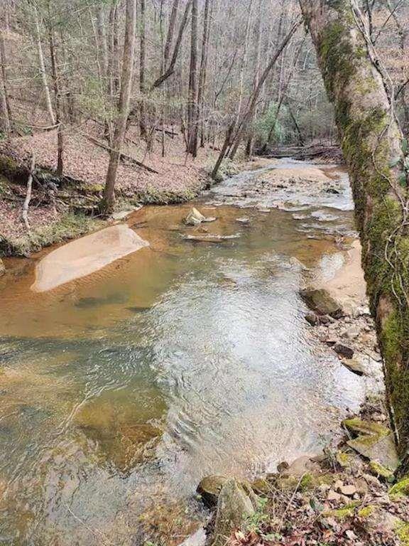 496 Beaver Dam Road Dahlonega, GA 30533 - Photo 22 of 28 a view of a yard with snow on the road