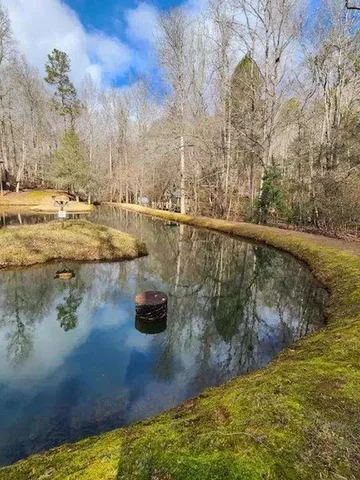 a view of a yard with swimming pool