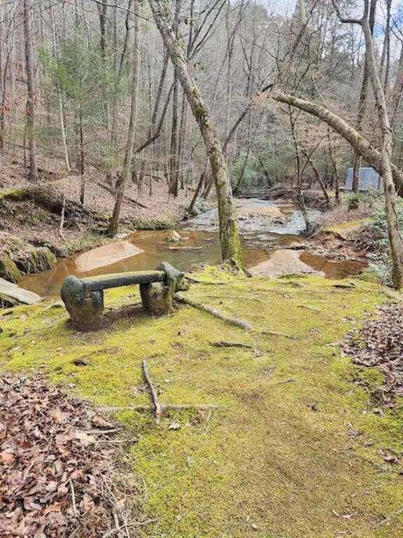496 Beaver Dam Road Dahlonega, GA 30533 - Photo 24 of 28 a view of a yard with swimming pool