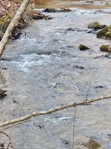 a view of a lake view