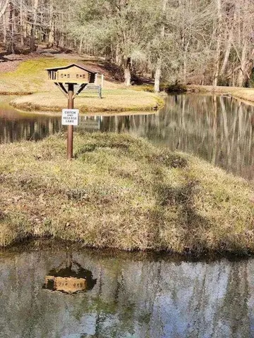 a view of dirt yard with a large tree