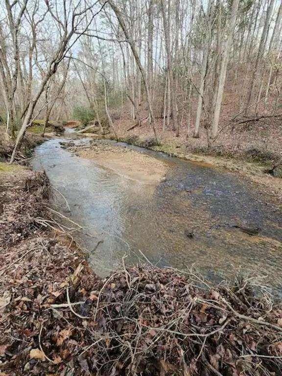 496 Beaver Dam Road Dahlonega, GA 30533 - Photo 28 of 28 a view of dirt yard with a large tree