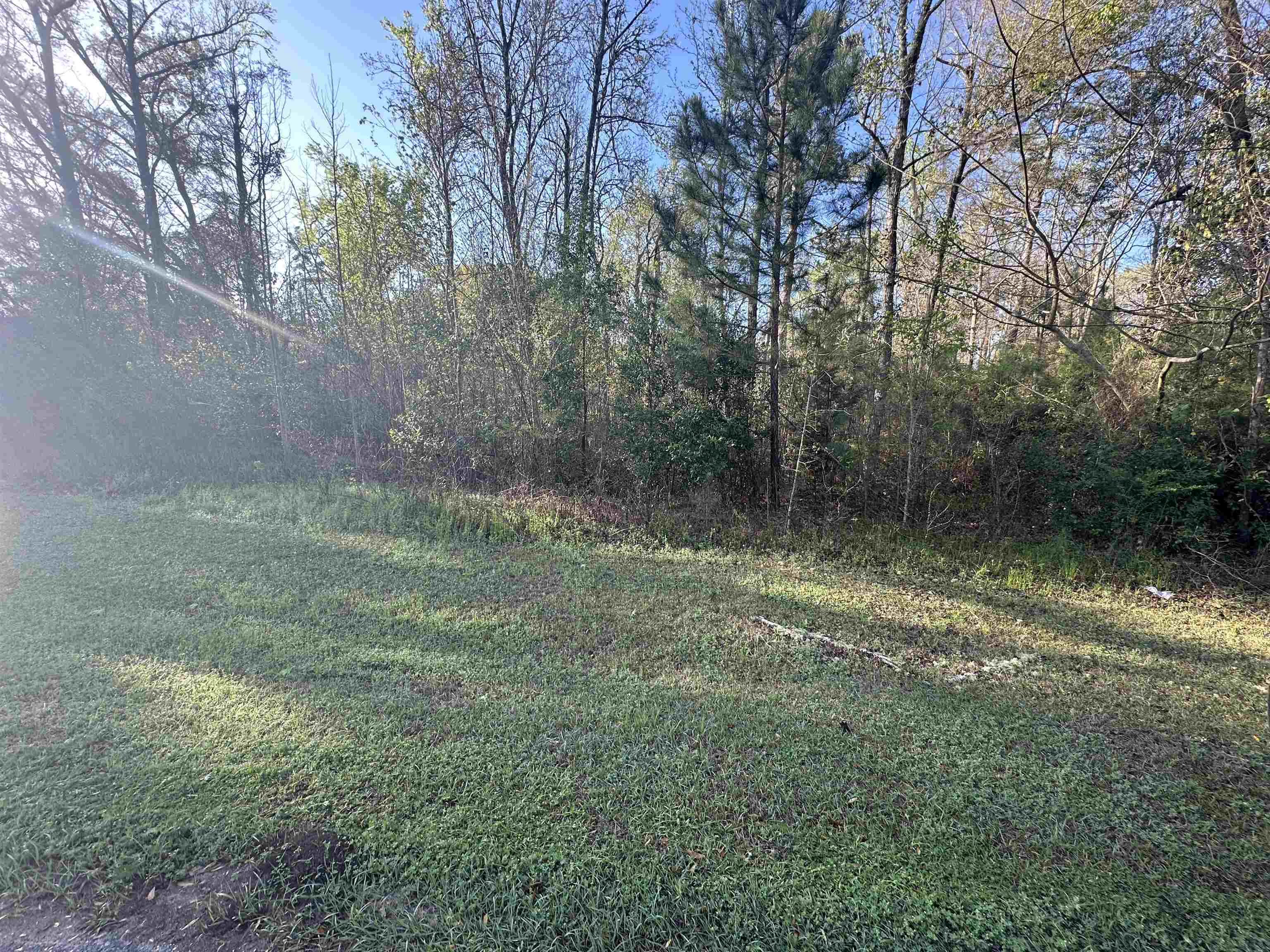 Xx Crayfish Road Chattahoochee, FL 32324 - Photo 1 of 7