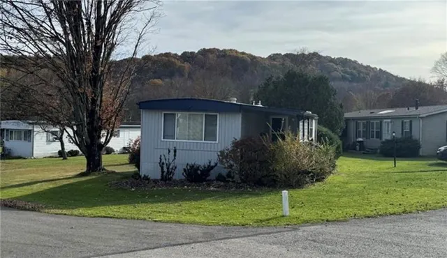 a house that has a tree in front of it