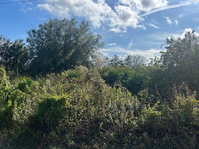 14938 Northwest 254th Street Okeechobee, FL 34972 - Photo 2 of 4 a view of a yard