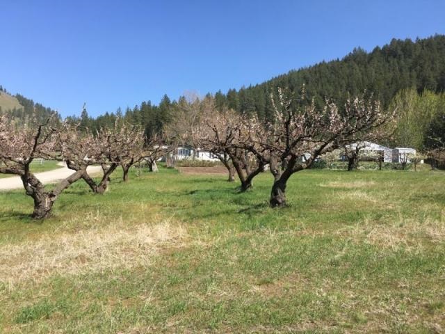 1581 B Rickey Canyon Road Kettle Falls, WA 99141 - Photo 17 of 18