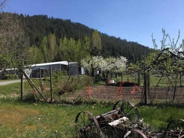 1581 B Rickey Canyon Road Kettle Falls, WA 99141 - Photo 3 of 18
