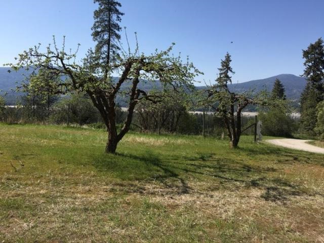 1581 B Rickey Canyon Road Kettle Falls, WA 99141 - Photo 4 of 18