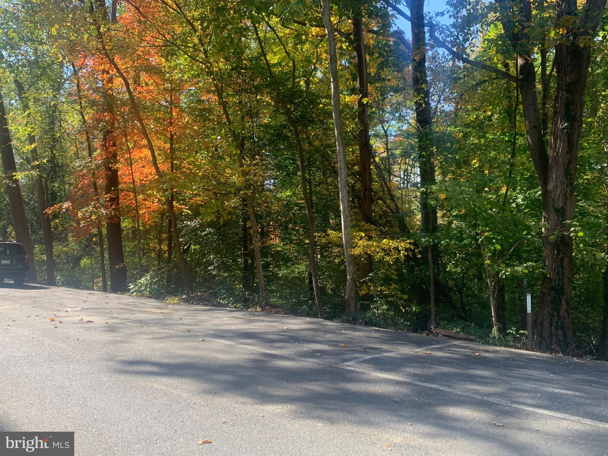 4100 W Street Northwest, Unit 416 Washington, DC 20007 - Photo 26 of 32 a view of a house with a trees