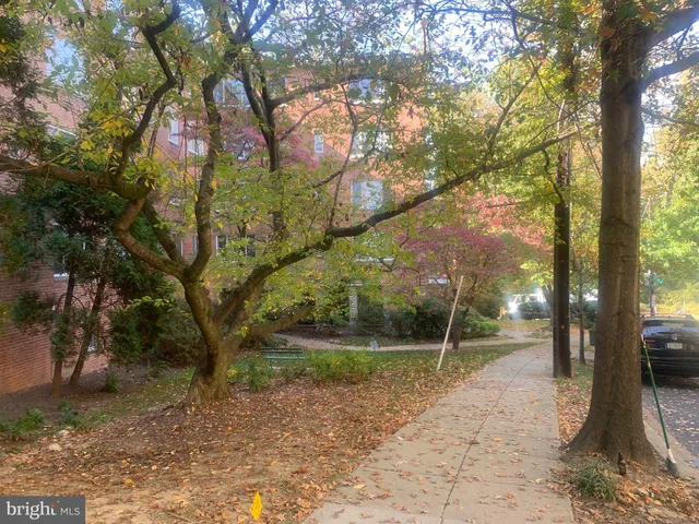 a view of a yard with plants and trees