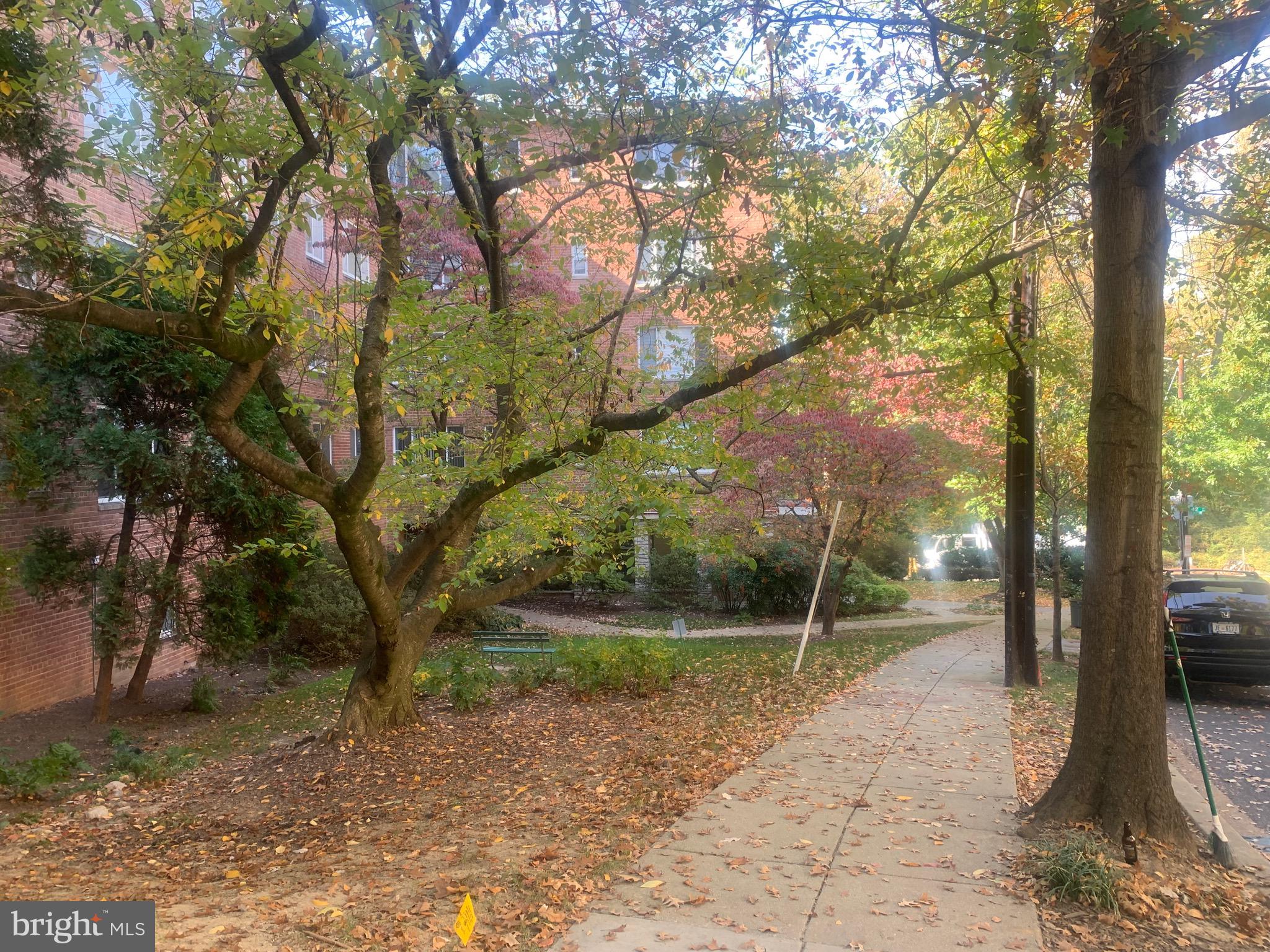 4100 W Street Northwest, Unit 416 Washington, DC 20007 - Photo 30 of 32 a view of a park with large trees