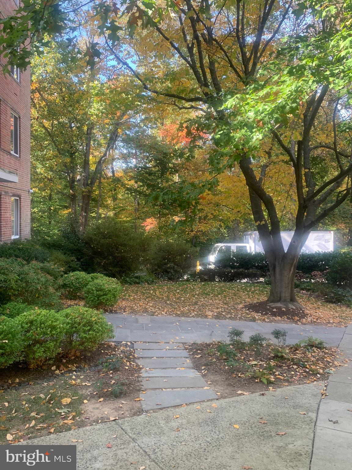 4100 W Street Northwest, Unit 416 Washington, DC 20007 - Photo 32 of 32 a view of a yard with plants and trees