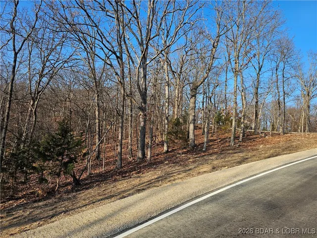 $5,900 | Lot 302 Austin Circle, Four Seasons, MO 65049