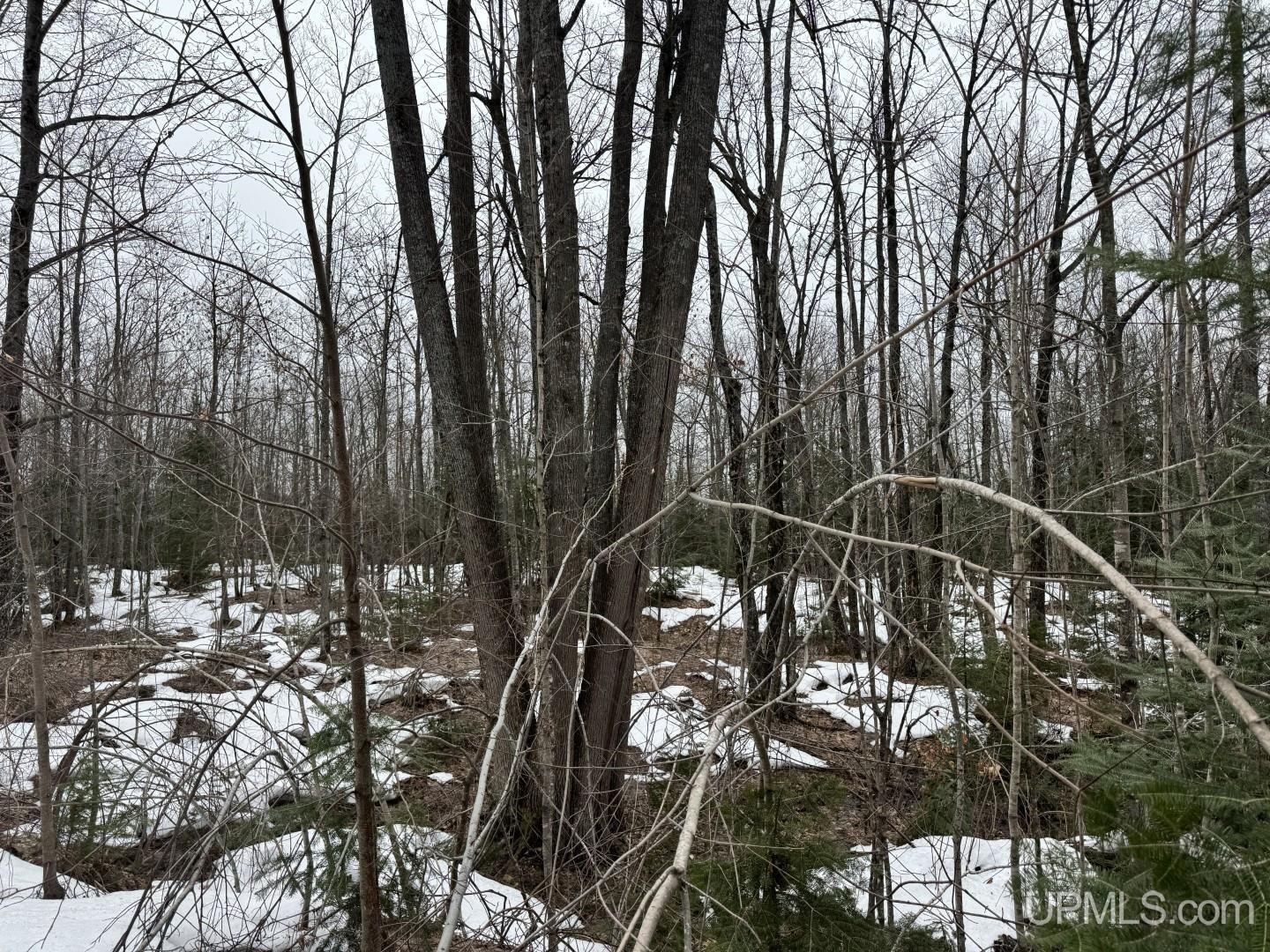 280-acres Off Pikes Peak Road Lanse, MI 49946 - Photo 11 of 21