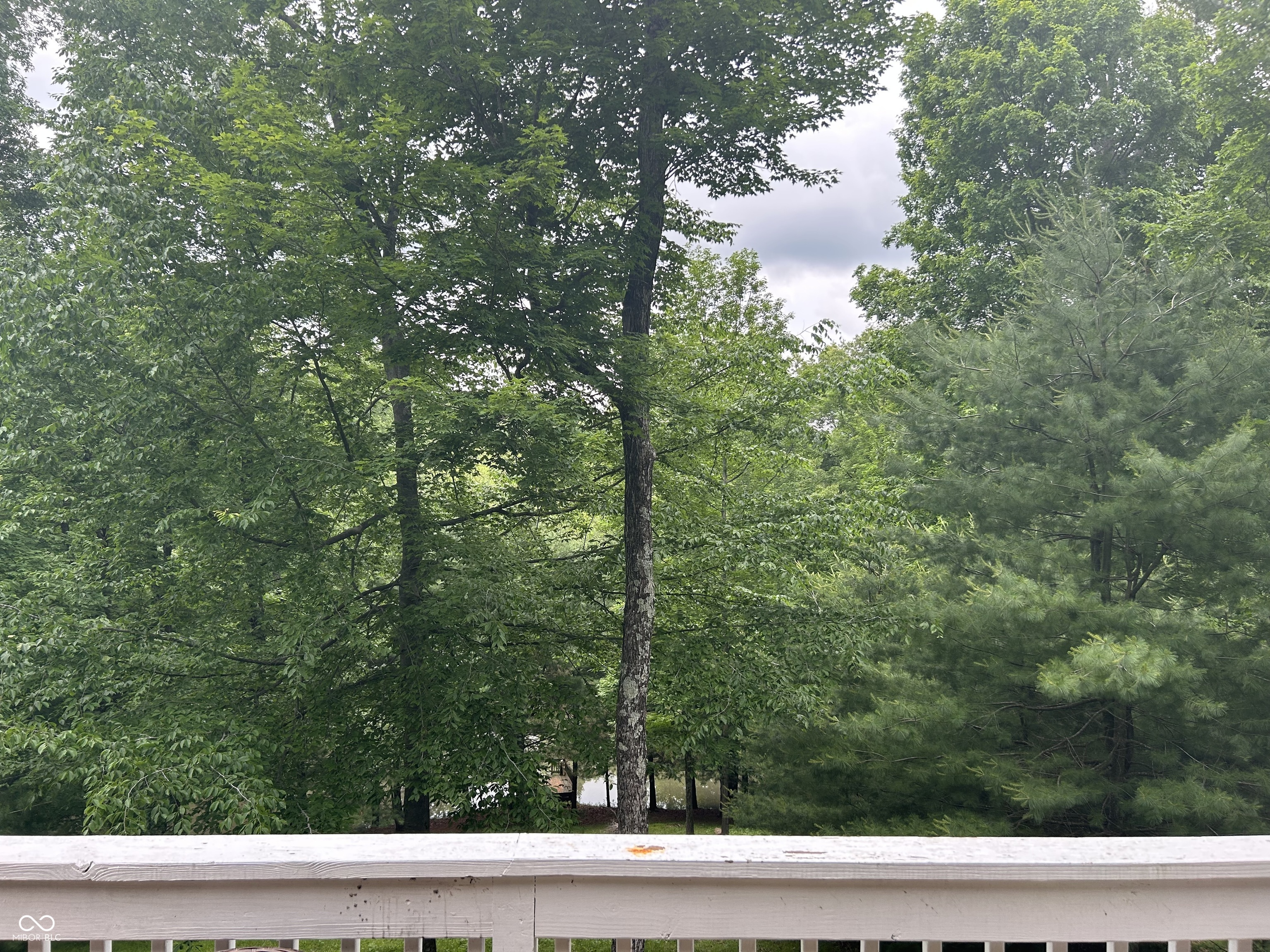 7680 Beech Tree Road Nineveh, IN 46164 - Photo 20 of 23