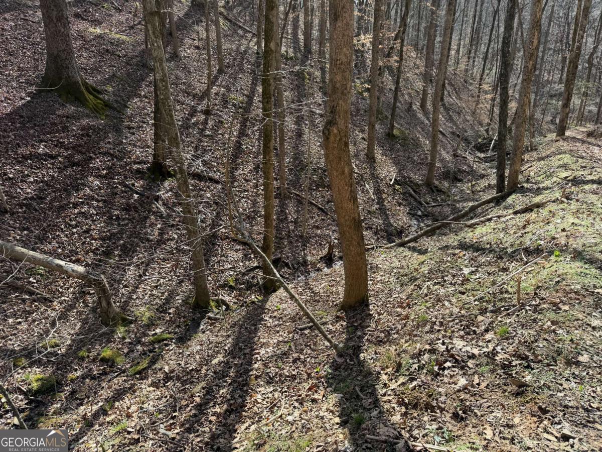 131 Nicholson Lane Talking Rock, GA 30175 - Photo 13 of 20 a view of a yard with a tree