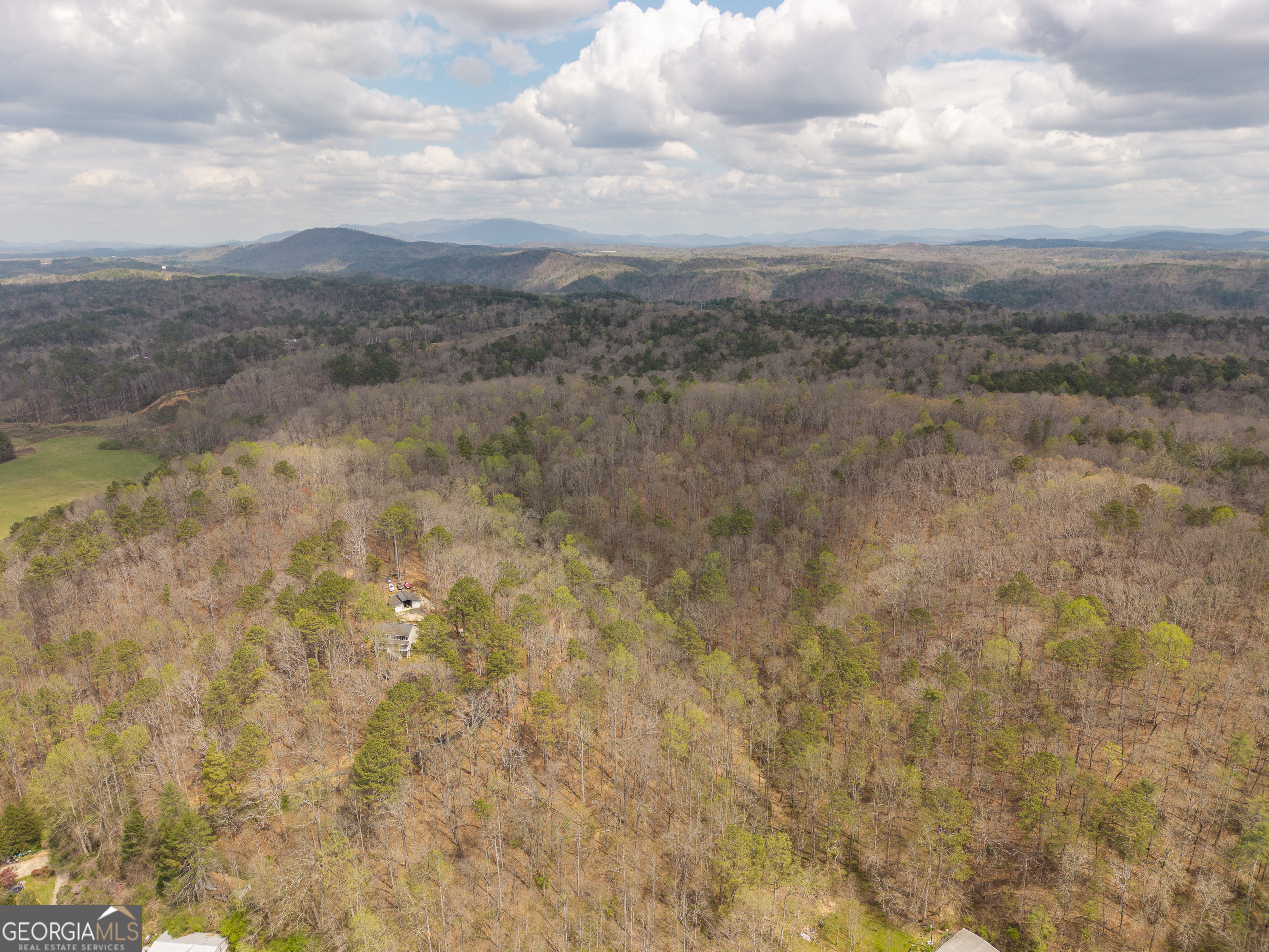 131 Nicholson Lane Talking Rock, GA 30175 - Photo 20 of 20 a view of a dry yard