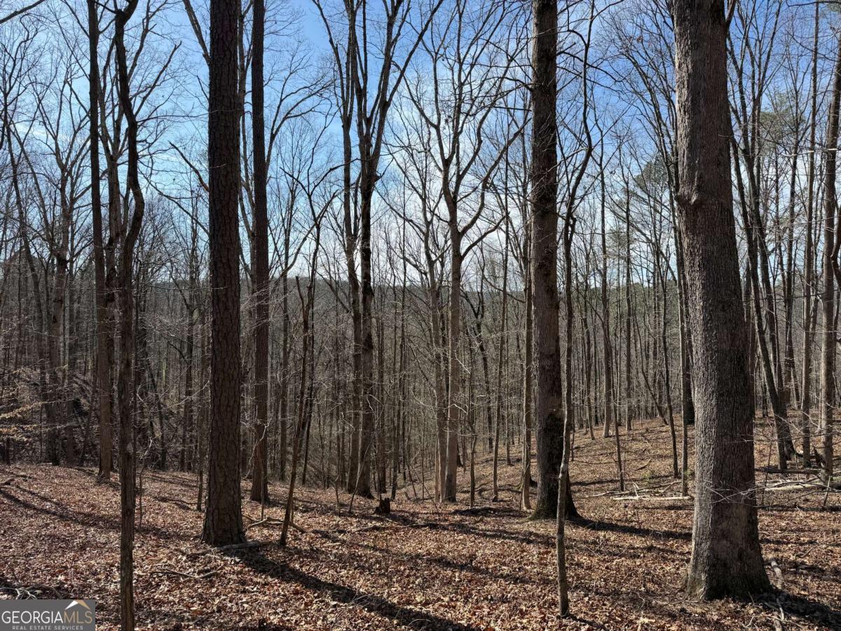 131 Nicholson Lane Talking Rock, GA 30175 - Photo 2 of 20 a view of a backyard