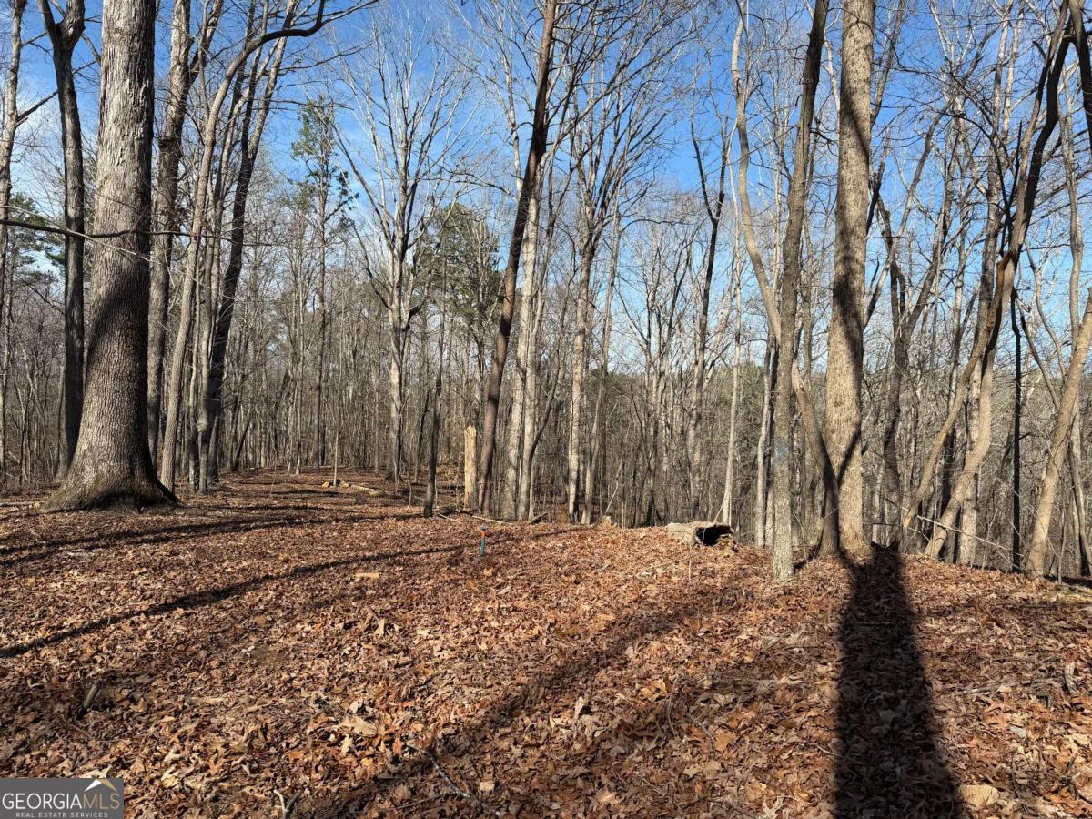 131 Nicholson Lane Talking Rock, GA 30175 - Photo 7 of 20 a view of a yard with trees