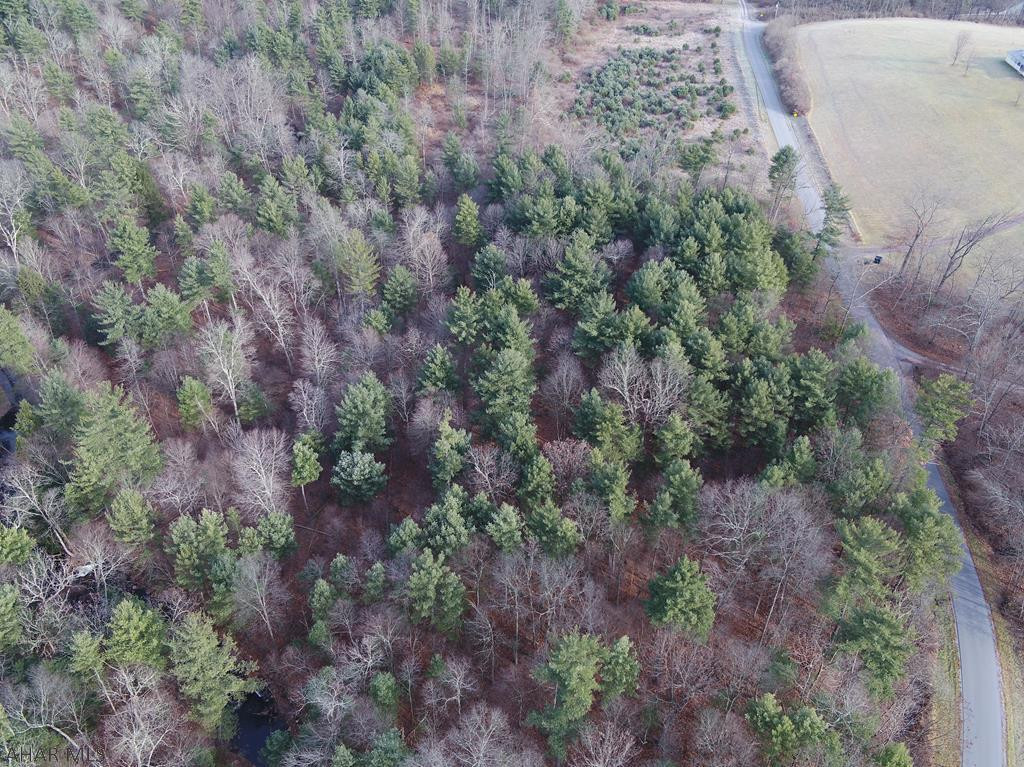 0 Lodge Road Crystal Spring, PA 15536 - Photo 23 of 54 Gallery Image 23