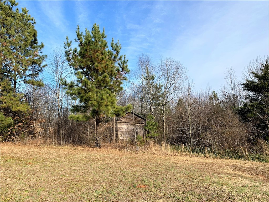 250 Holly Branch Road Westminster, SC 29693 - Photo 24 of 41 Gallery Image 24