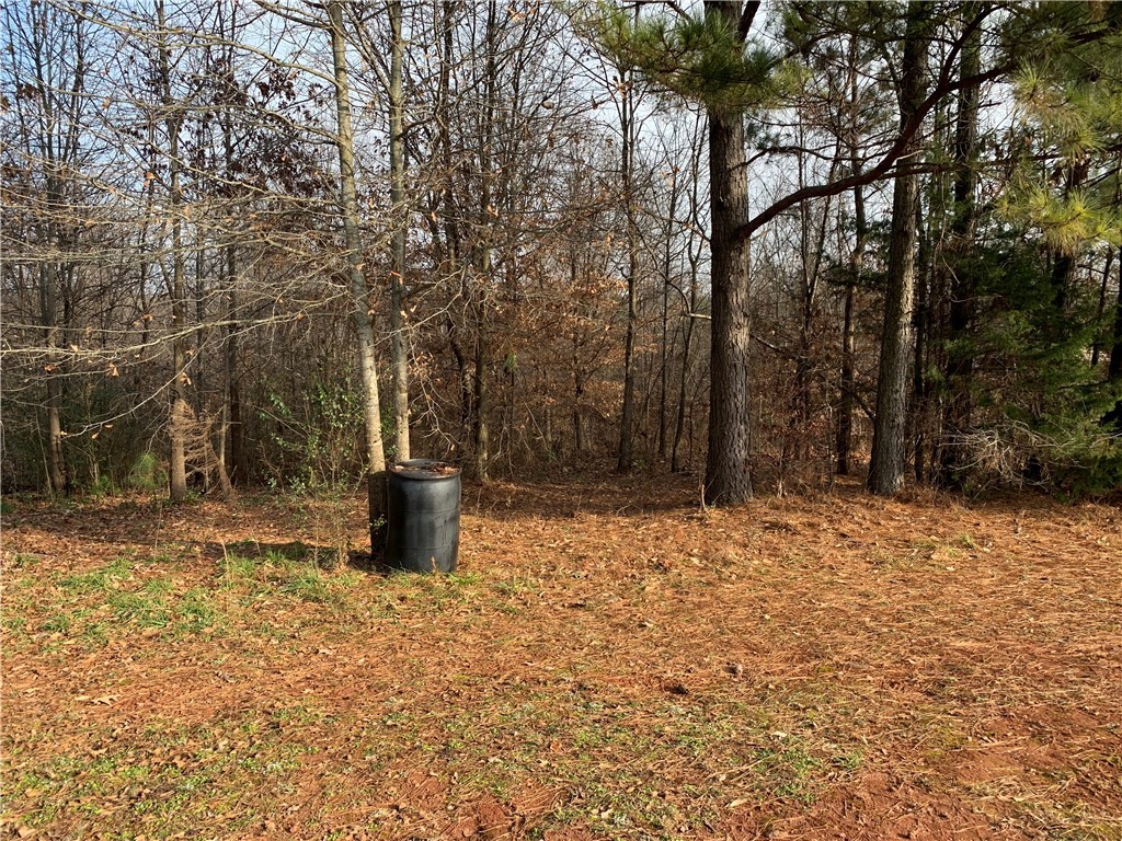 250 Holly Branch Road Westminster, SC 29693 - Photo 32 of 41 Gallery Image 32