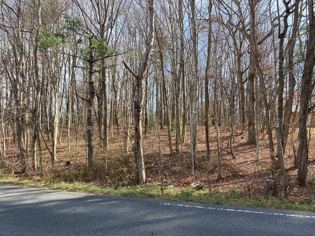 Lot 5 Ivanhoe Road, Unit 5 Fries, VA 24330 - Photo 2 of 6 Gallery Image 2