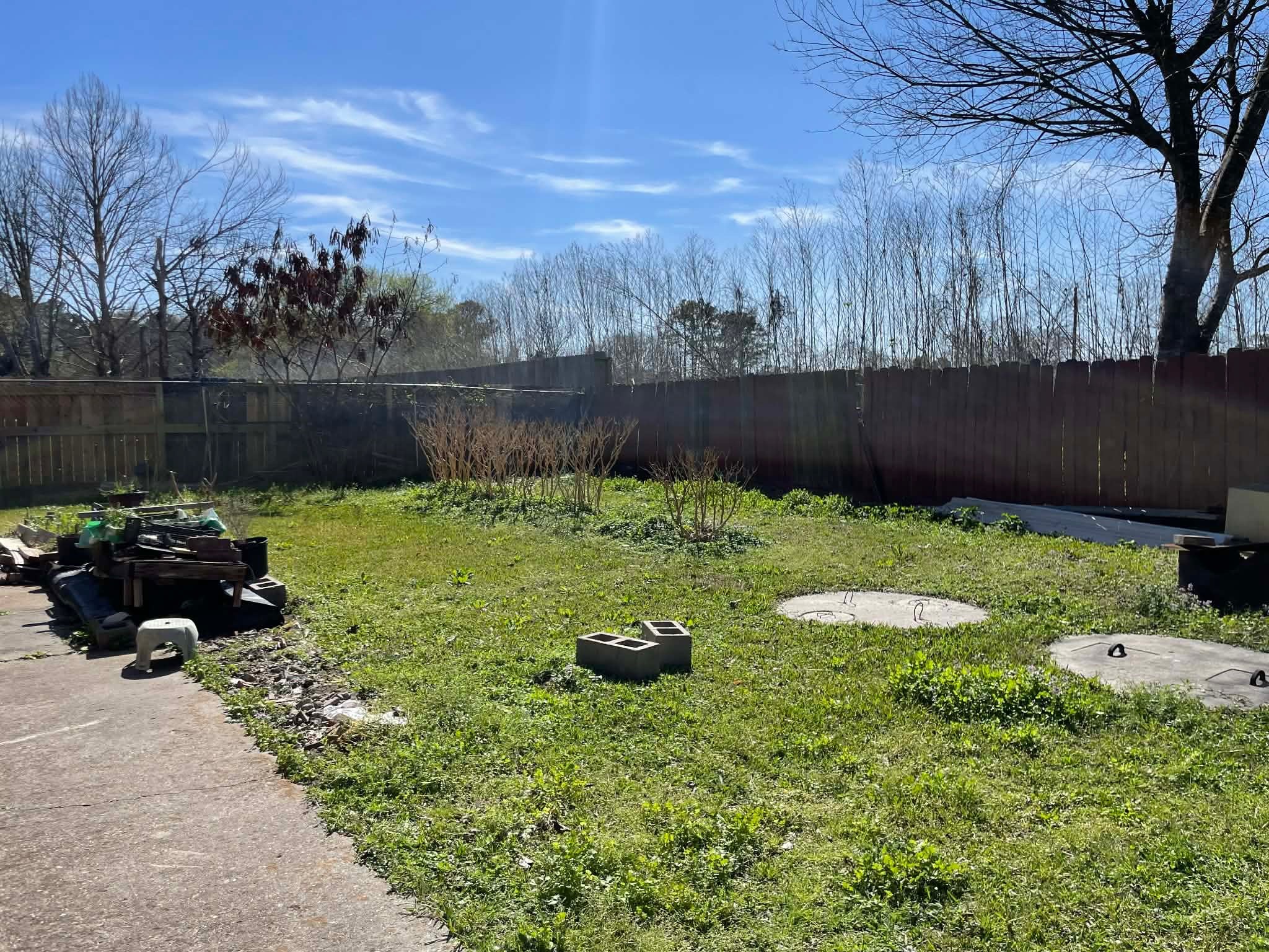 1825 Isom Street Houston, TX 77039 - Photo 5 of 27 a backyard of a house with lots of green space