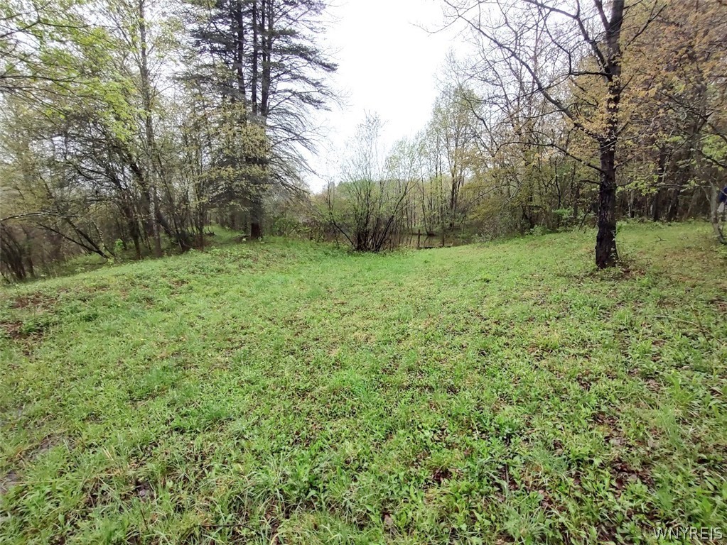 Bozard Hill Road Great Valley, NY 14741 - Photo 5 of 8