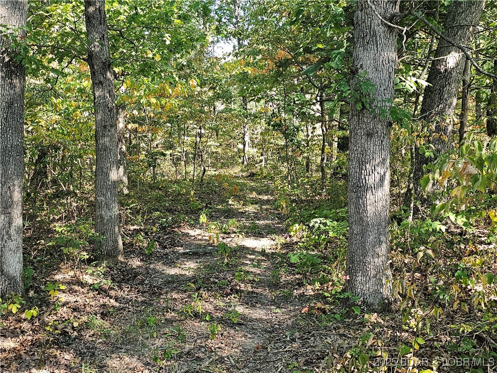 Tract D Beechnut Road Stover, MO 65078 - Photo 12 of 14