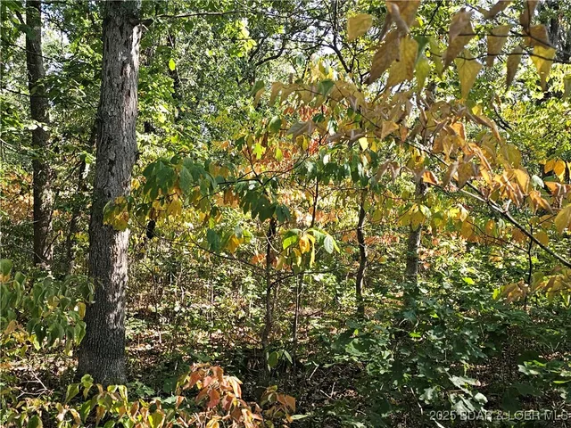 $303,100 | Tract D Beechnut Road, Stover, MO 65078