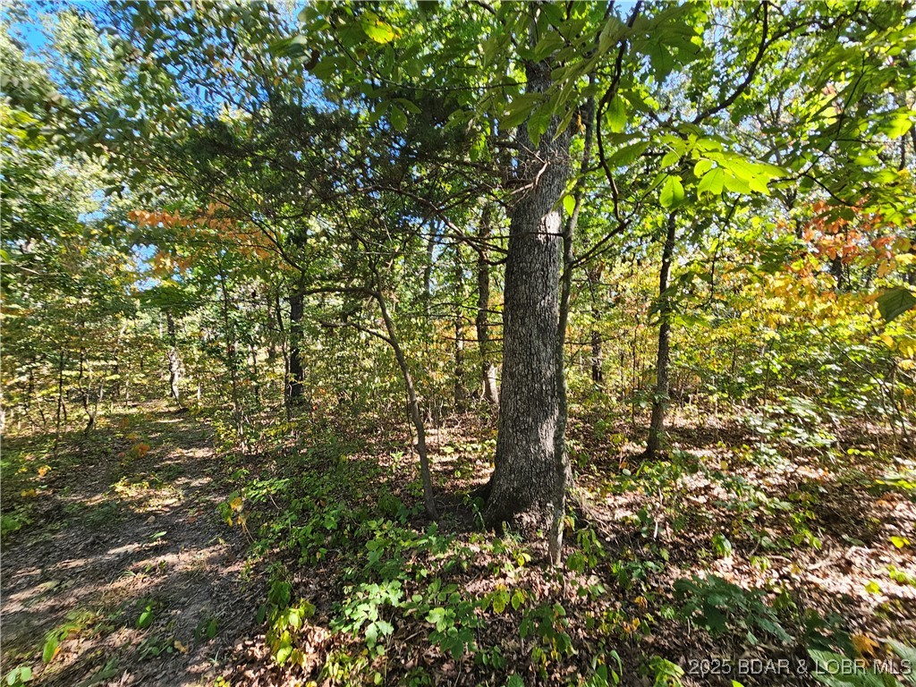 Tract D Beechnut Road Stover, MO 65078 - Photo 14 of 14