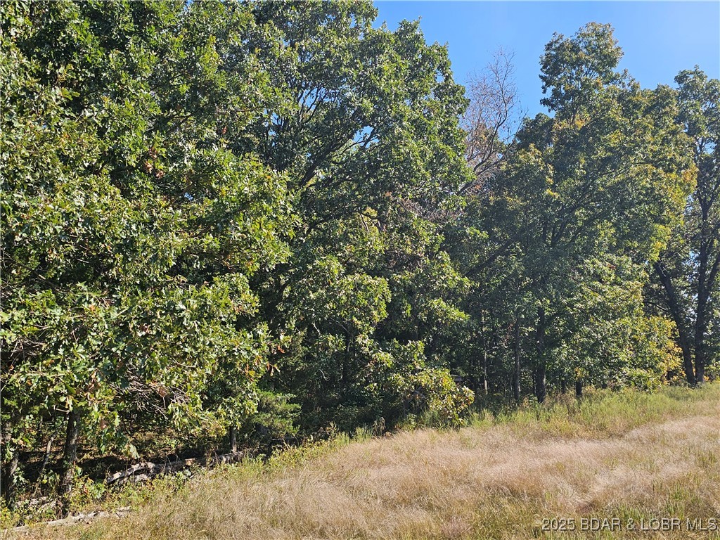 Tract D Beechnut Road Stover, MO 65078 - Photo 3 of 14