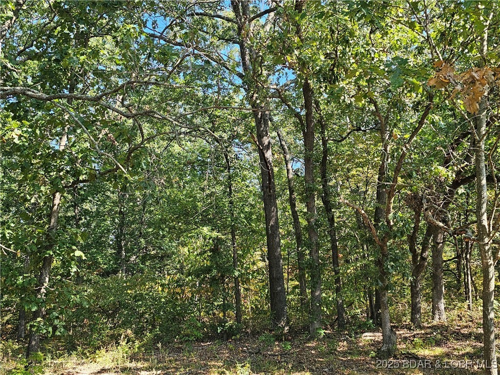 Tract D Beechnut Road Stover, MO 65078 - Photo 4 of 14