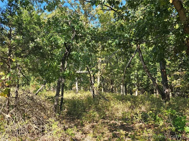 $303,100 | Tract D Beechnut Road, Stover, MO 65078
