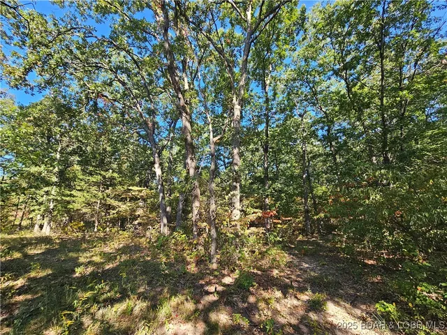 $303,100 | Tract D Beechnut Road, Stover, MO 65078