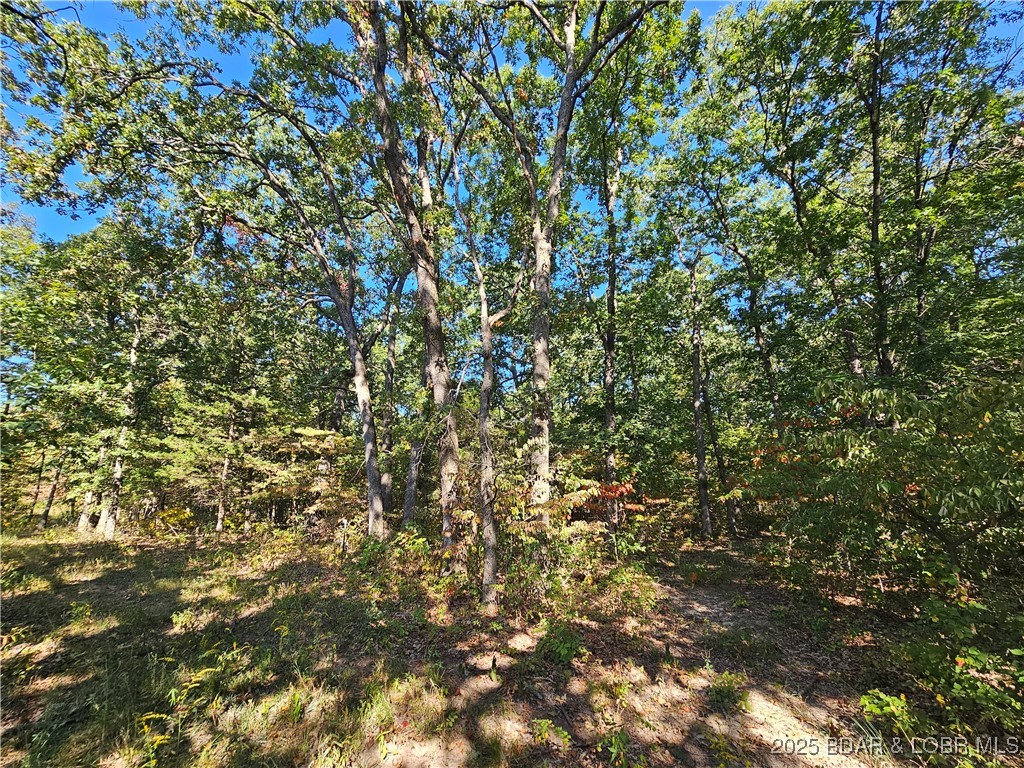 Tract D Beechnut Road Stover, MO 65078 - Photo 6 of 14