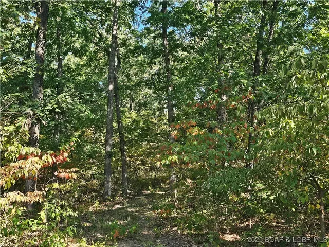 $303,100 | Tract D Beechnut Road, Stover, MO 65078