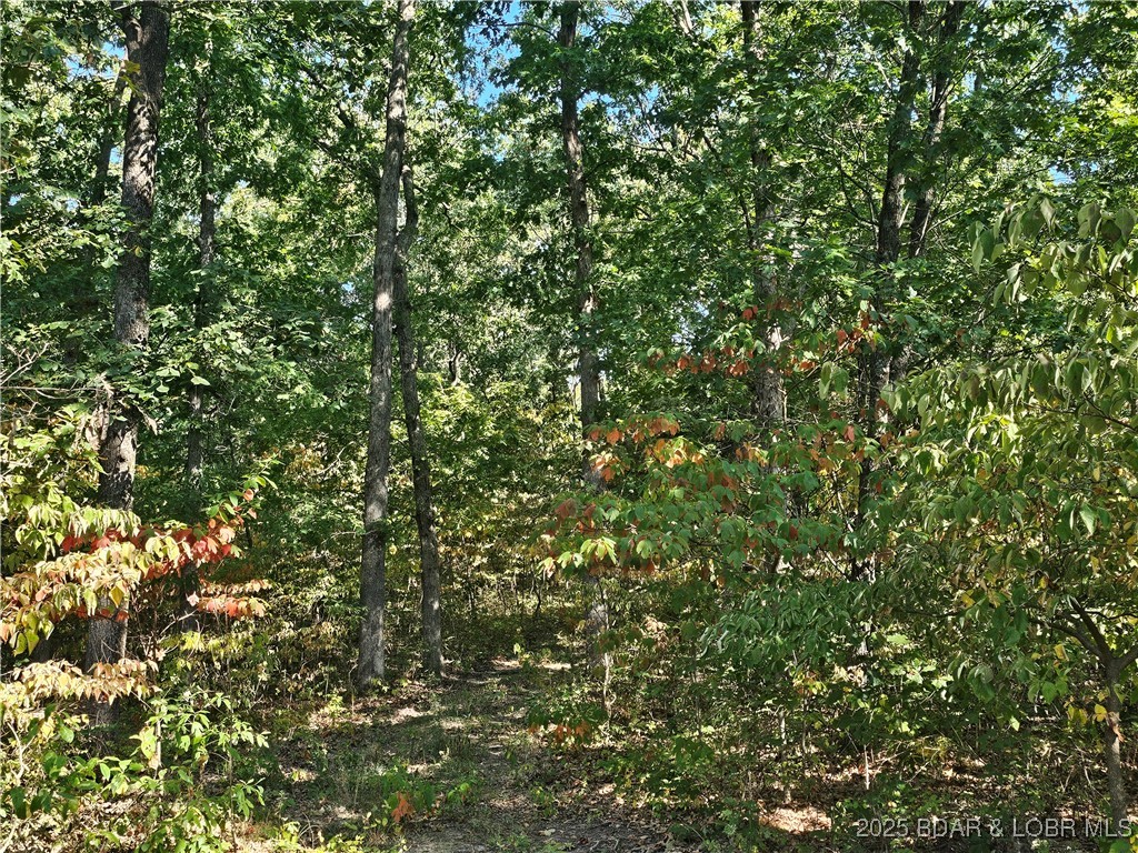 Tract D Beechnut Road Stover, MO 65078 - Photo 8 of 14