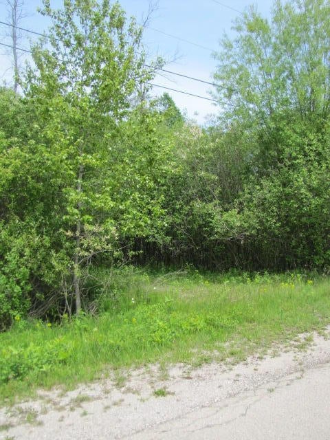 100 Channel Road Alpena, MI 49707 - Photo 1 of 7 Gallery Image 1