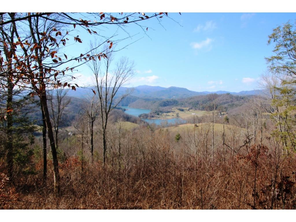 0 Imperial Ridge Drive Butler, TN 37640 - Photo 4 of 5 Distance Shot