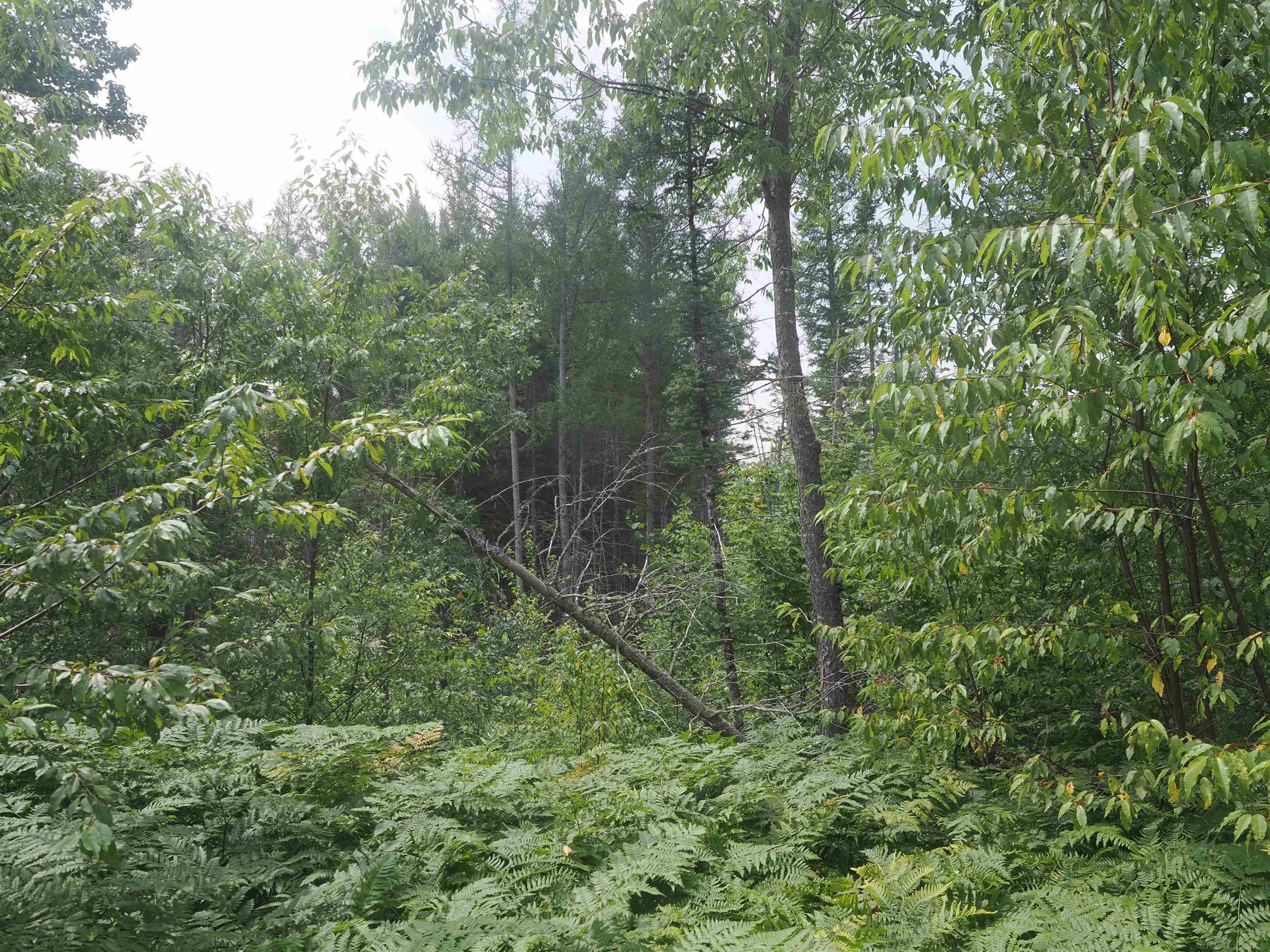 9976 South Salt Point Road Eckerman, MI 49728 - Photo 42 of 48