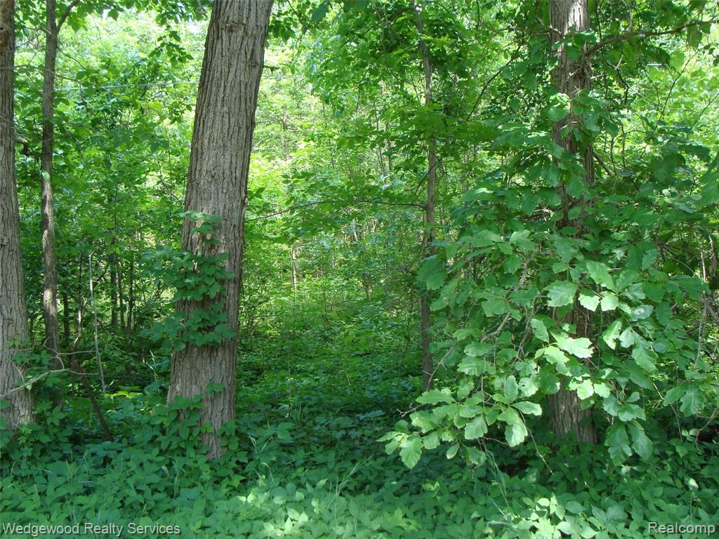 0 East Rose Center Road Pontiac, MI 48342 - Photo 4 of 18